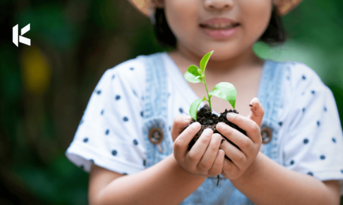 ¿Cómo generar un Programa Ambiental Escolar (PRAE) efectivo?